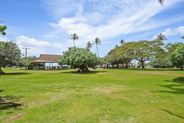 Green lawn area shaded by mature palm trees