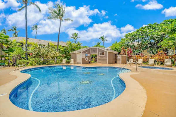 Resort-Style Swimming Pool & Hot Tub Area Surrounded by Palm Trees