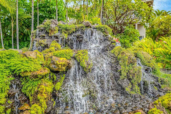 Cascading Rock Waterfall Feature surrounded by Lush Tropical Greenery