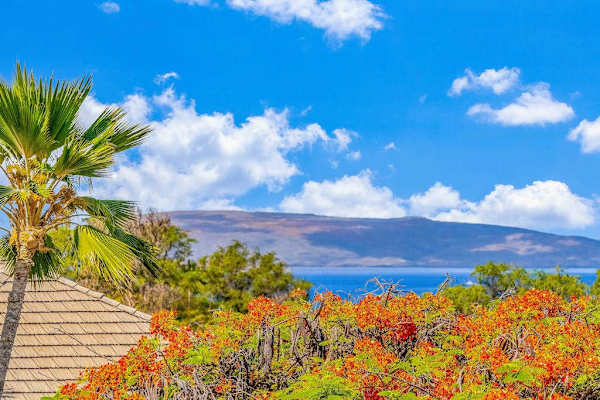 Scenic Coastal Landscape Showing Ocean Horizon, Palm Trees & Blooming Flora