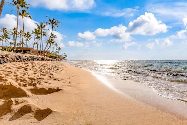Morning Walks Along The Shoreline