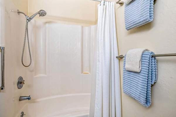 Shower And Tub For Everyday Comfort