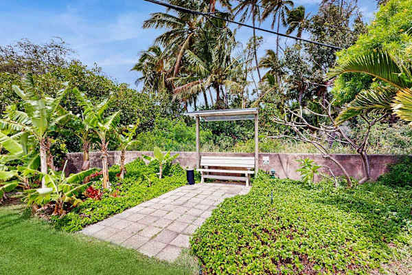 Palm-lined lawn creates breezy setting beside resort pathways and gardens