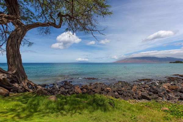 Scenic shoreline with rocky points and breathtaking views of the Pacific Ocean
