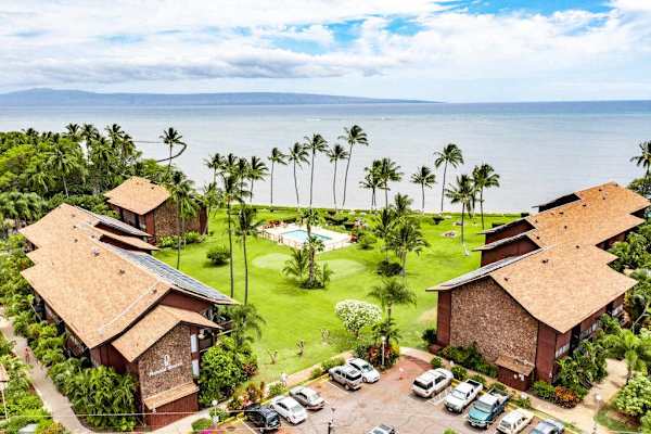 Relaxing island surroundings feature palms greenery and open tropical skies