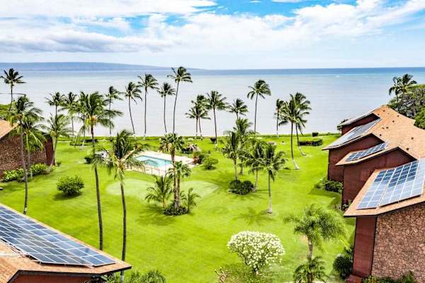 Tropical landscaping surrounds the building with pathways and palms nearby