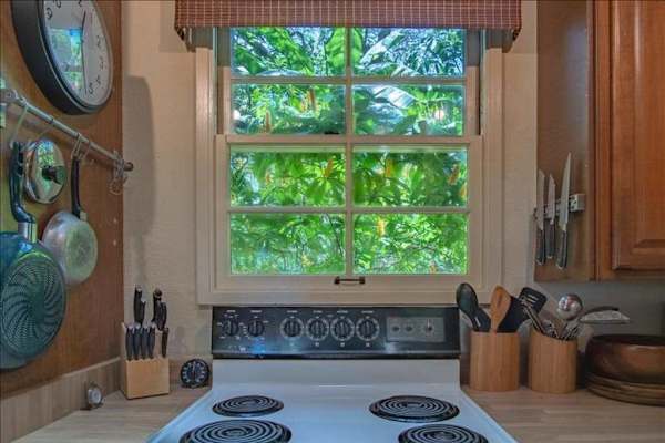 Stylish kitchen combining practical workspace with modern appliances for everyday convenience