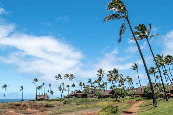Tropical palms sway above the resort grounds and Pacific coastline