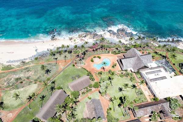 Aerial resort view highlights pool palm trees and oceanfront beach