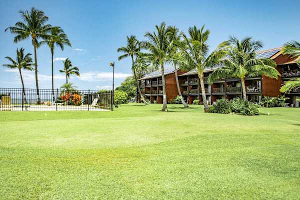 Vibrant palm trees surrounded by beautiful greenery welcome every guest with serenity