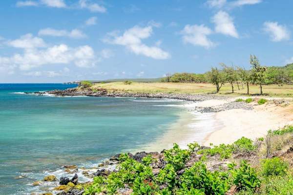Rocky coastline offers inviting views beside Pacific waters