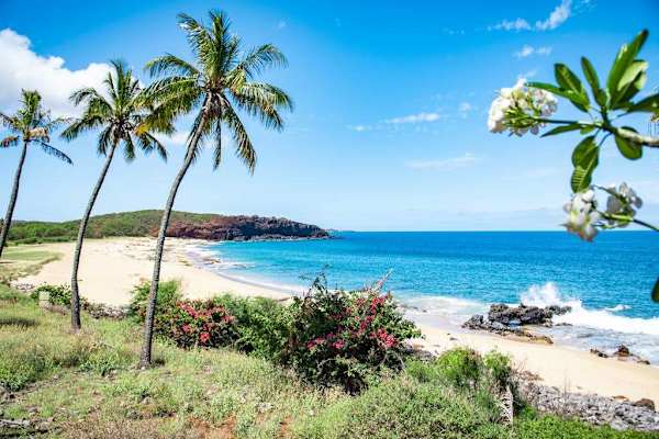 Enjoy unforgettable beach views with crystal waters and picturesque white sandy coastline nearby