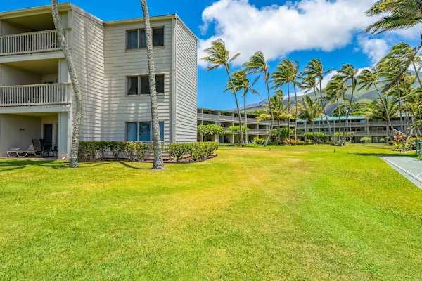 Tropical paradise showcases stunning coastline framed by beautiful coconut trees and open skies