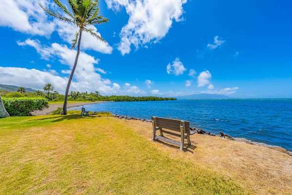 Tropical resort scenery showcases beautiful island surroundings and relaxing guest spaces
