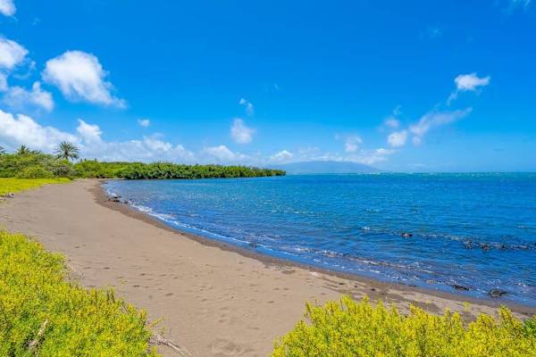 Endless blue waters meet graceful coconut trees creating unforgettable coastal moments every day