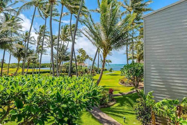 Experience refreshing ocean breezes beneath towering coconut trees with spectacular seaside landscapes daily