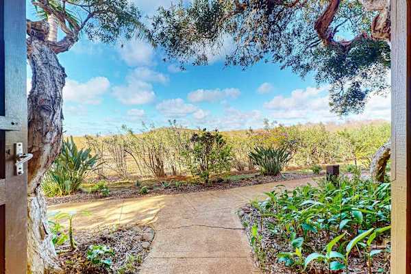 Landscaped exterior path reveals open island surroundings and tropical greenery