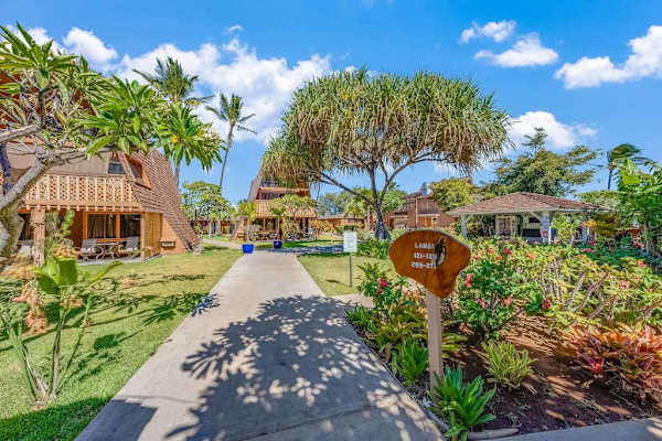 Palm trees shade the grounds surrounding comfortable island accommodation nearby