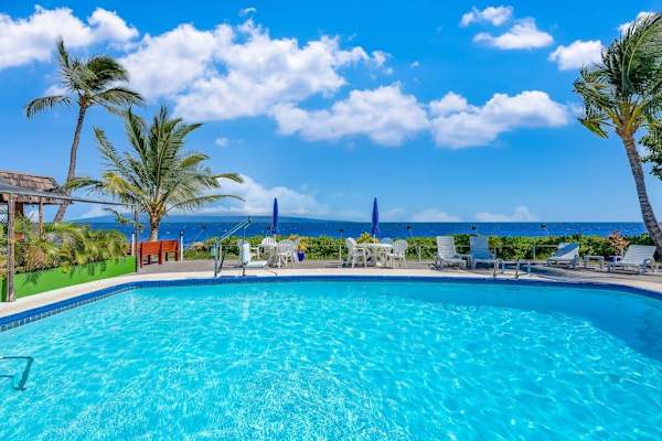 Shared swimming pool overlooks palms with peaceful island scenery nearby