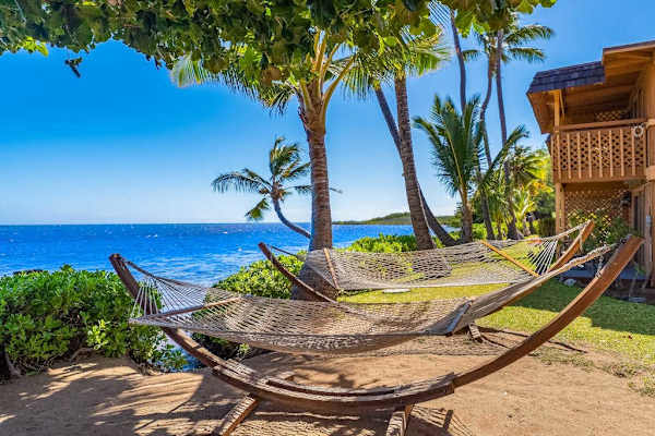 Island resort grounds surround the cottage with palms and sunny lawns