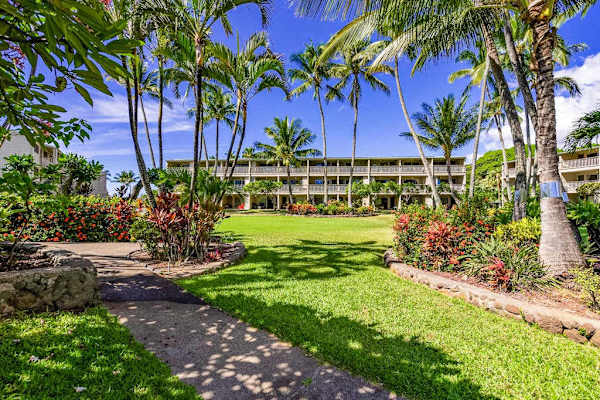 Palm-lined resort pathway winds through gardens beside ocean-facing guest accommodations
