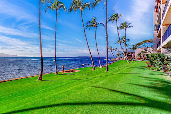 Oceanfront manicured lawns, swaying palm trees, and turquoise Pacific waters create a picture-perfect setting as waves gently crash along the shoreline.