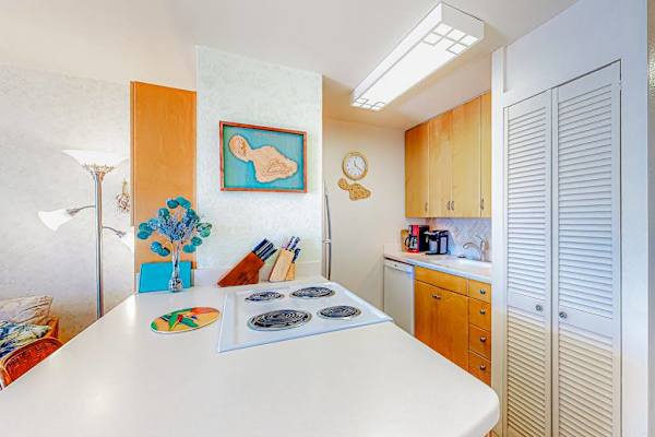 Open air kitchen so you can still enjoy the views or conversations with your guests while you prepare your food.