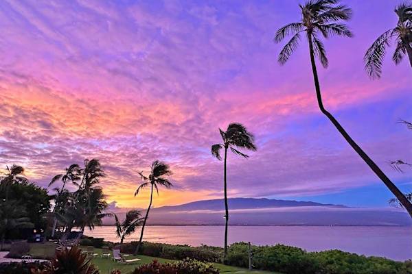 Amazing sunsets against the backdrop of swaying palm trees.
