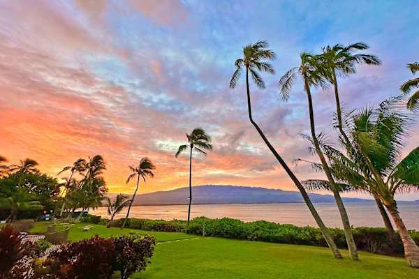 Amazing sunsets against the backdrop of swaying palm trees.