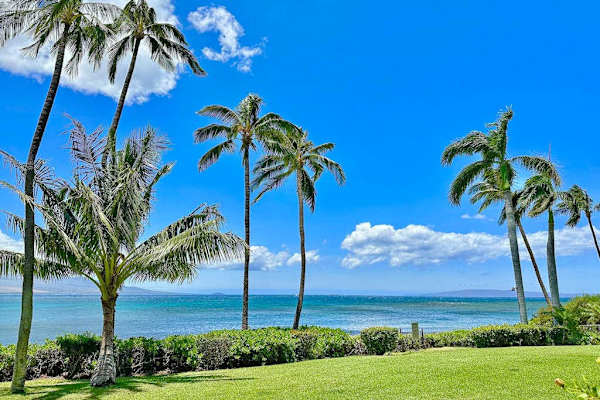 Lush grassy lawns surrounded by beautiful tropical trees create a peaceful island setting.