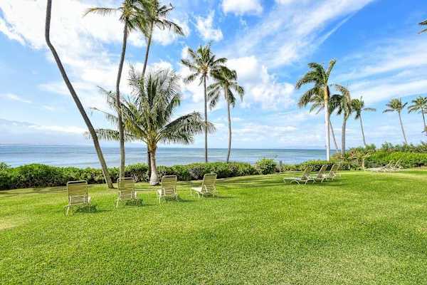 Lush grassy lawns surrounded by beautiful tropical trees create a peaceful island setting.
