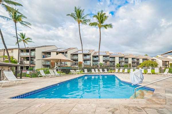 Sparkling Pool Surrounded By Palm Trees
