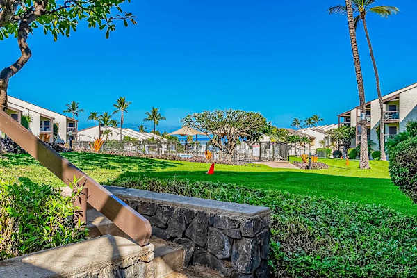 Beautiful Tropical Grounds To Explore