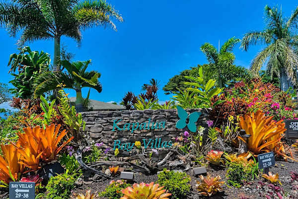 Lush Tropical Gardens Throughout The Resort
