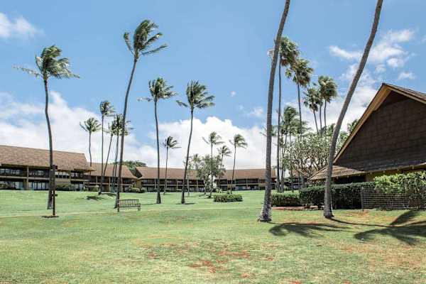 Resort grounds feature palms, lawn, pavilion, and outdoor recreation areas