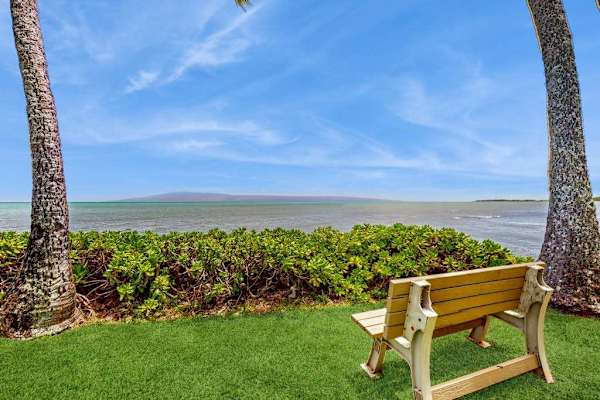 Lawn bench faces ocean views between palm trees and greenery