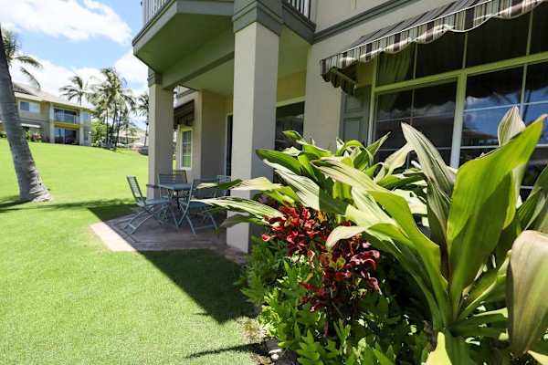 Enjoy a peaceful view of the back patio, a perfect outdoor space for relaxing and enjoying fresh air.