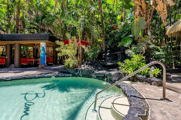 Take a refreshing dip and enjoy peaceful moments by the pool.