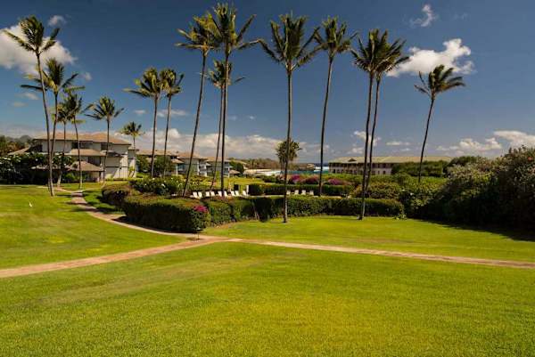 Expansive Golf Course Panorama