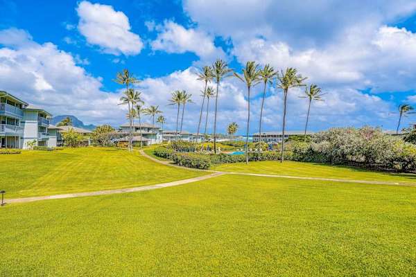 Wide Open Island Greens