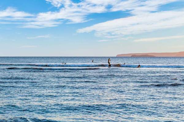 Endless Blue Ocean Horizons