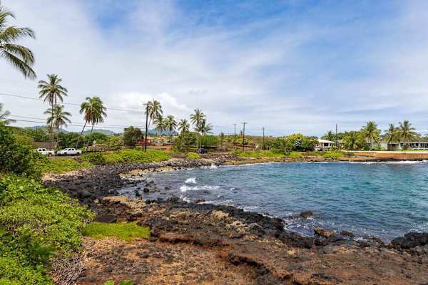 Coastal Lava Rock Shoreline with Palm Trees