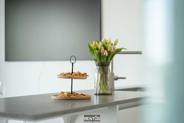 Zwem & Zen - spacious apartment with outdoor pool