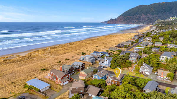 Forever Manzanita