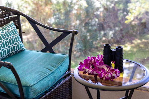 Island living - lanai, pool & beach essentials