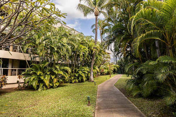 Island living - lanai, pool & beach essentials