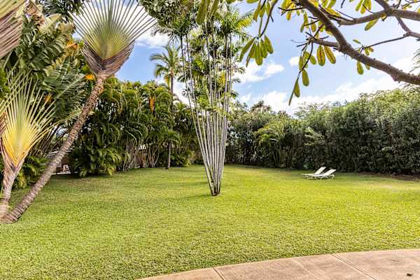 Island living - lanai, pool & beach essentials