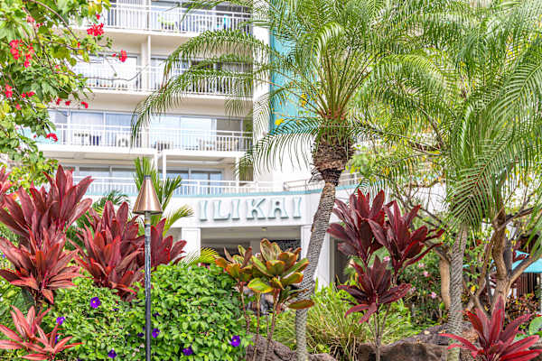 Welcome to Ilikai Hotel