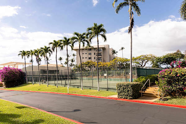 Have a short walk on early mornings or late afternoons while soaking in the fresh breeze and panoramic view of the nature