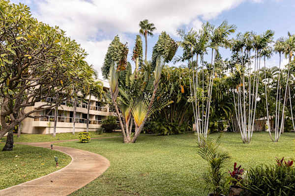 Have a short walk on early mornings or late afternoons while soaking in the fresh breeze and panoramic view of the nature